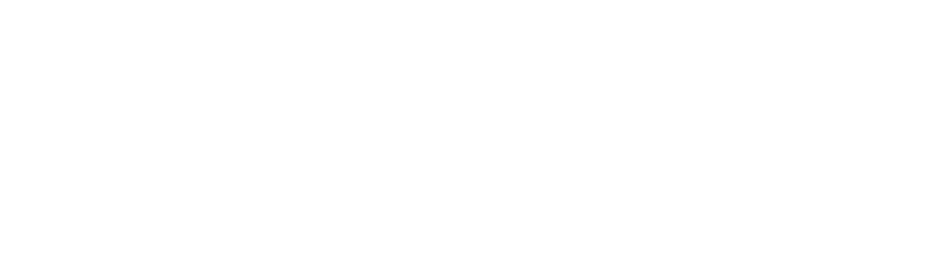 ELEGANT PALACE logo